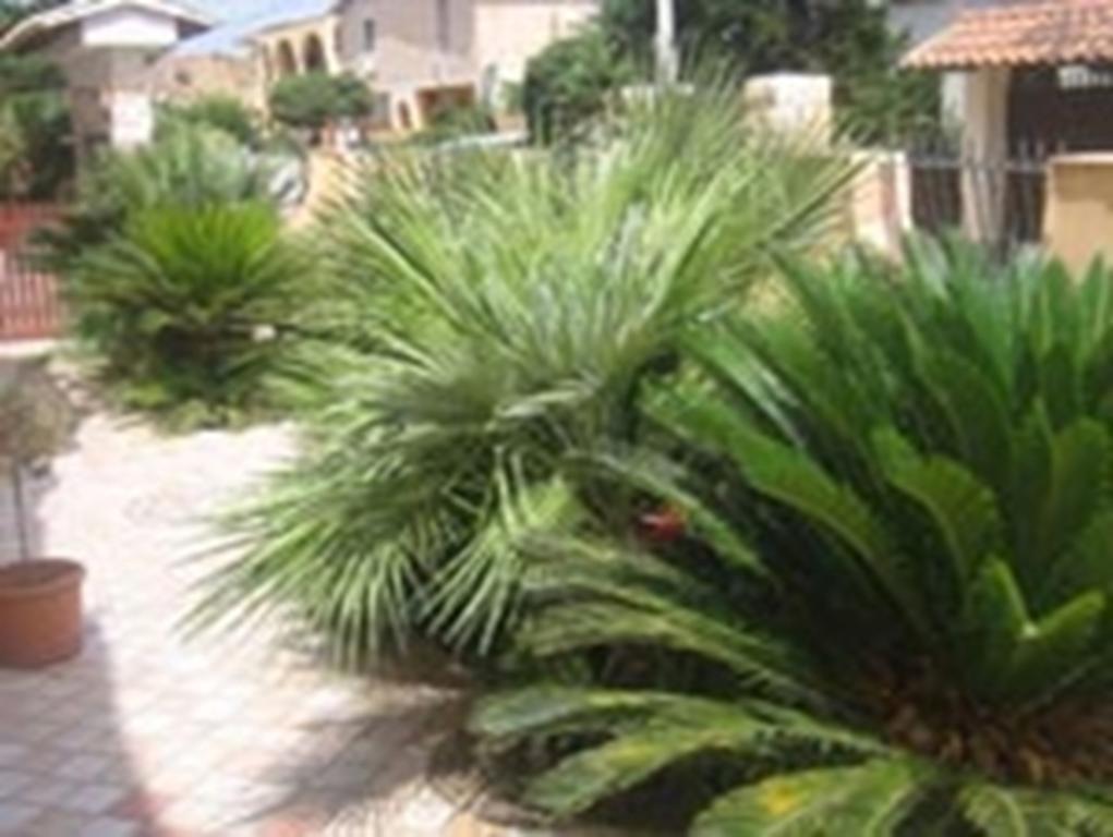 B&B Villa Olimpo Le Torri Agrigento Zewnętrze zdjęcie